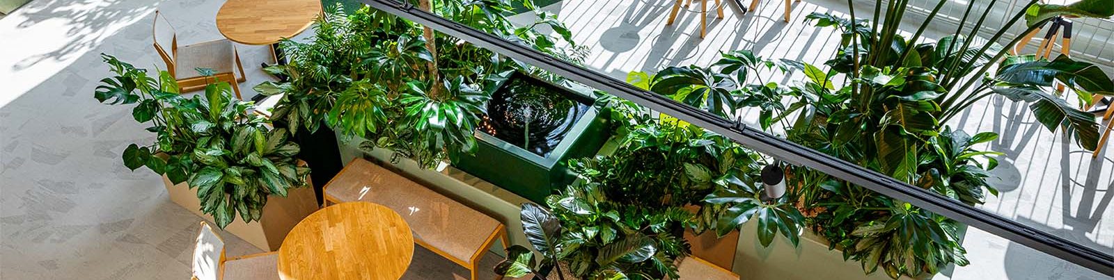 be-max-biophilic-design-showroom-eindhoven-biofilie-natuur-interieur-kantoorinrichting