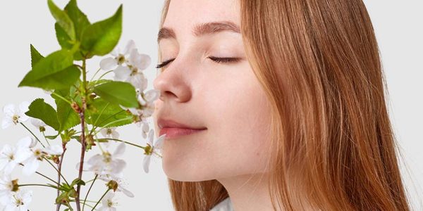 bemax-meubilair-biophilic-design-interieur-inrichting-geur-geurbeleving-kantoor-omgeving-beplanting