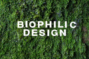 biophilic design veelgestelde vragen