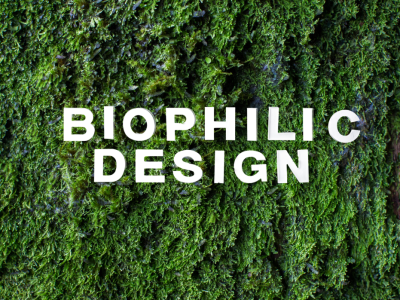 biophilic design veelgestelde vragen