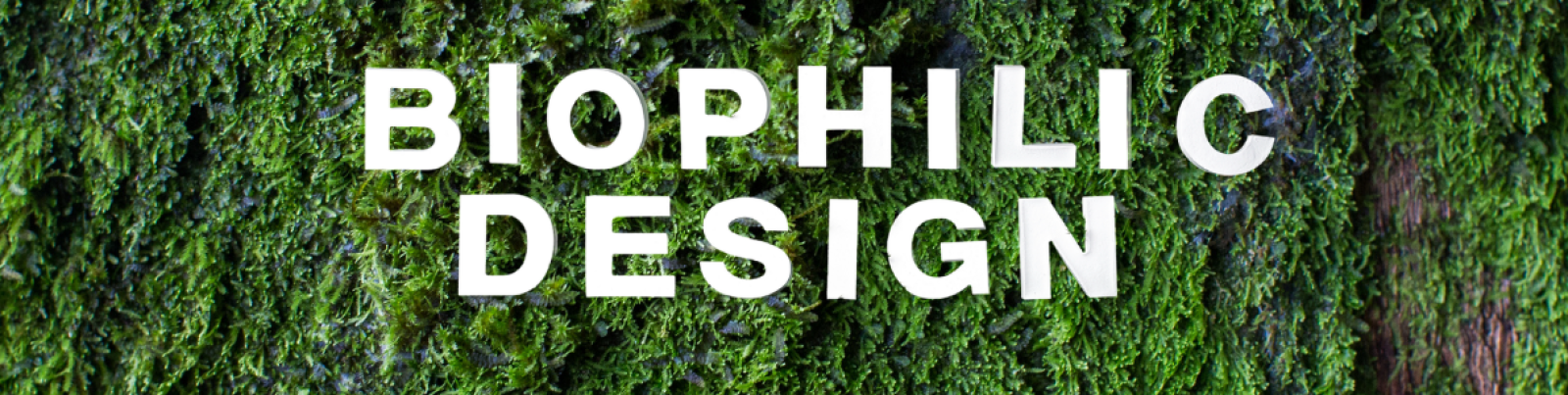 biophilic design veelgestelde vragen