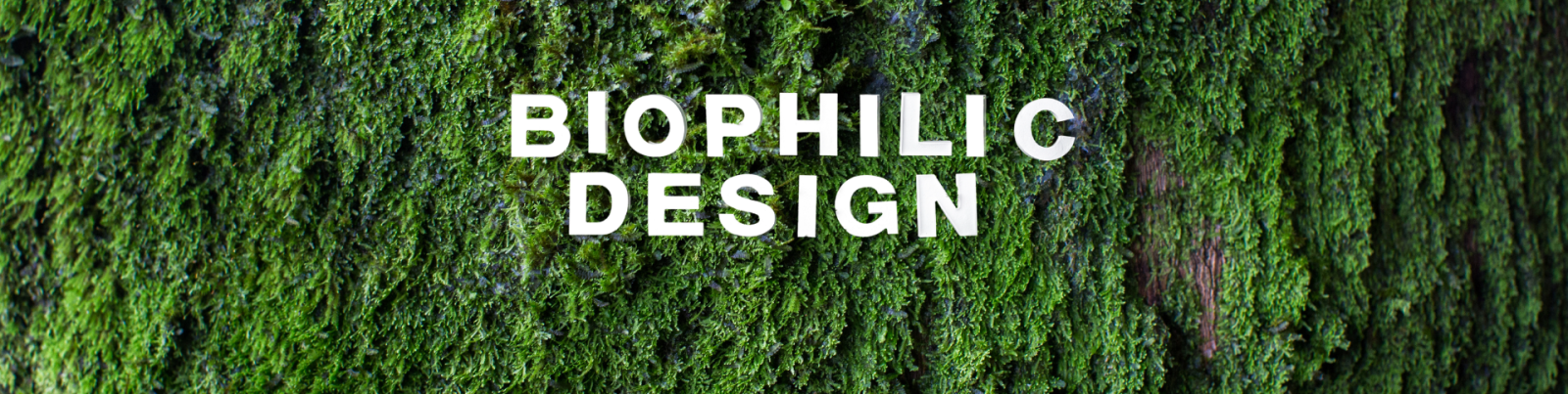 biophilic design veelgestelde vragen