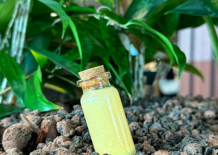 bemax-training-event-natuur-werkomgeving-groen-kantoorinrichting-dutch-design-week-ddw-2024-smooth-utrecht-gembershot-gingershot