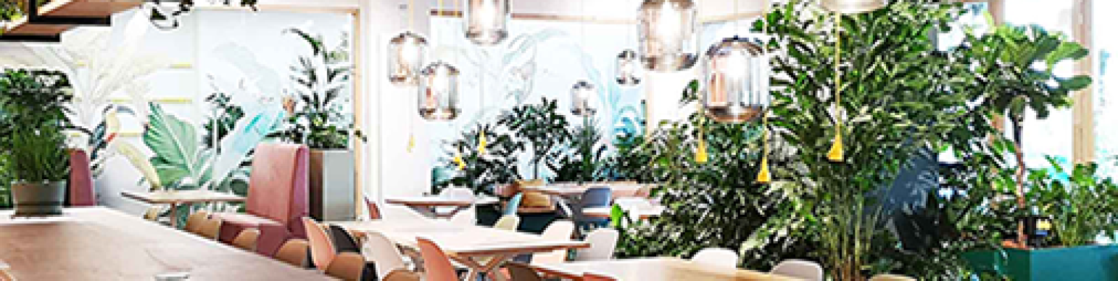 werkoase-ontmoetingsplek-biophilic-design-kantoorinrichting-Videolab-Strijp-S-Eindhoven